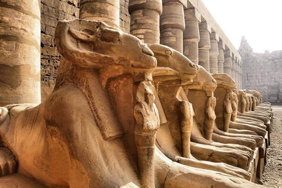 Tour of the East Bank in Luxor
